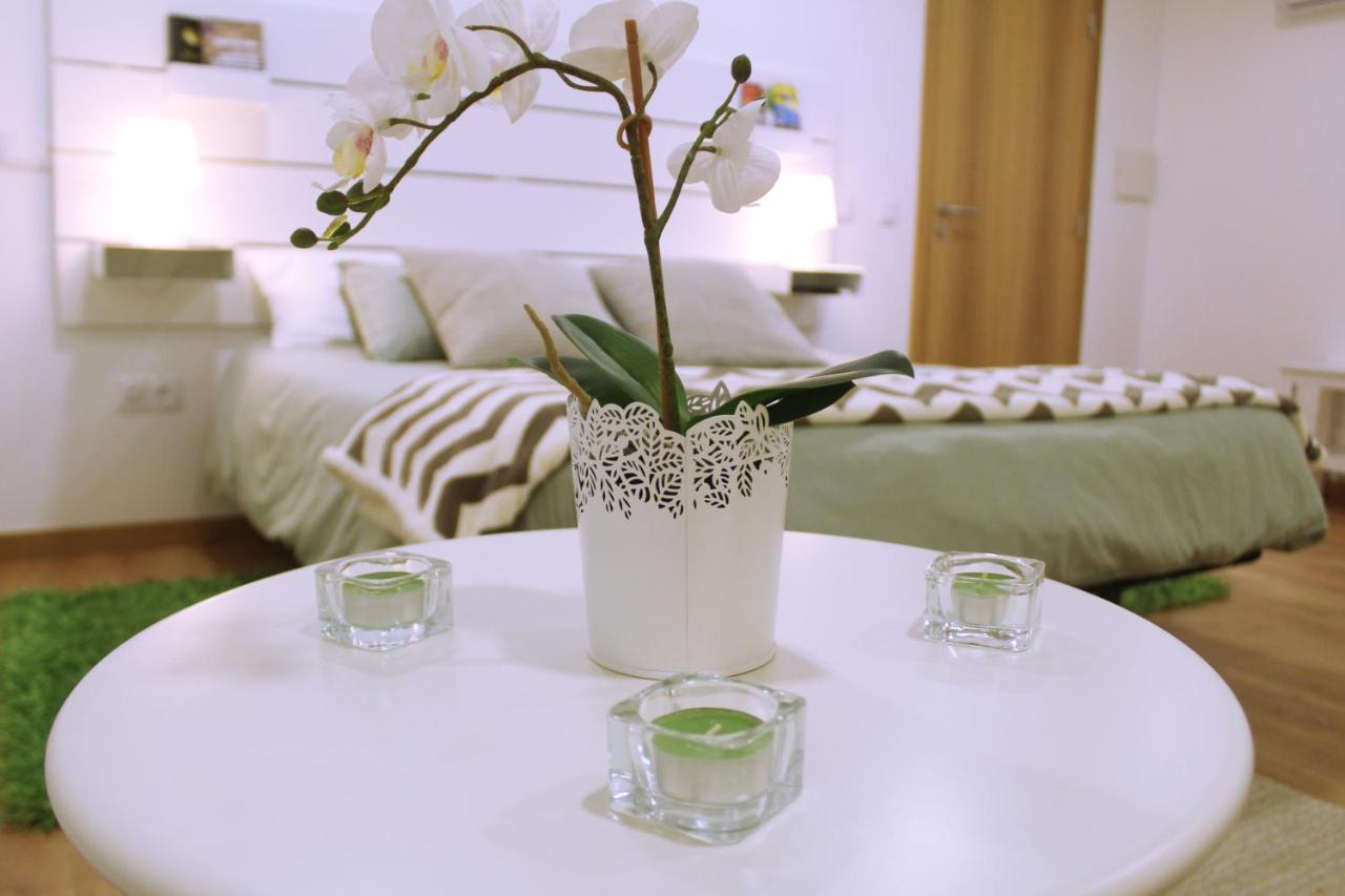 Sintra Cozy Suite المظهر الخارجي الصورة